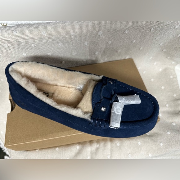 NIB-UGG Litney Women’s Suede Navy slipper - Picture 1 of 5